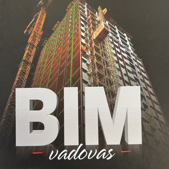 BIM modelių kūrimas Vilnius Structural Engineering Forces Ltd nuotrauka 14