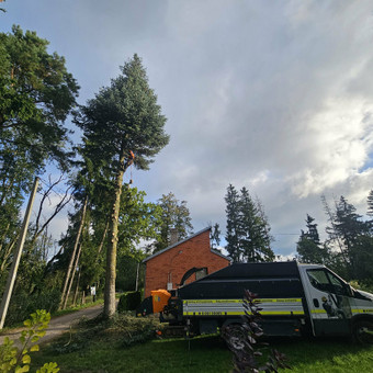 Šakų išvežimas Vilnius MB Krūmamedis nuotrauka 4