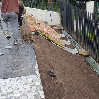Gėlynų įrengimas Vilnius MB Morestas nuotrauka 6