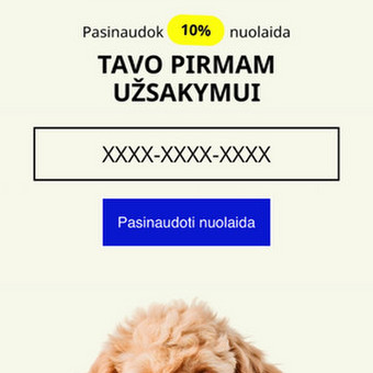Naujienlaiškių automatizacijos Kaunas Gabrielė K. nuotrauka 2