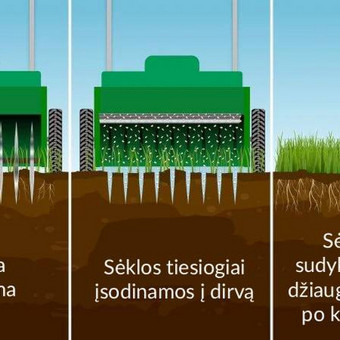 Konsultavimas Kaunas Vykintas Urniežius nuotrauka 9