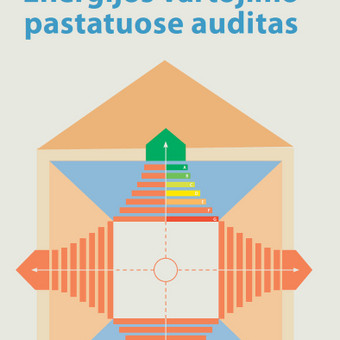 Pastatų energijos vartojimo auditas Kaunas Laura Bogužienė nuotrauka 10