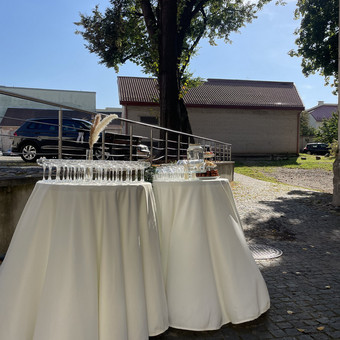 Rožių žiedlapiai Vilnius Šampano burbuliukai nuotrauka 2
