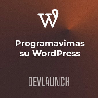 Programavimas su WordPress Vilnius Devlaunch, MB nuotrauka 3