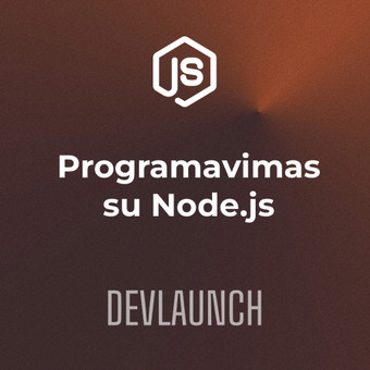 Programavimas su Node.js Vilnius Devlaunch, MB nuotrauka 1