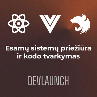 Esamų sistemų priežiūra ir kodo tvarkymas Vilnius Devlaunch, MB nuotrauka 8