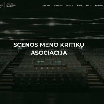 Svetainių dizainas (web design) Vilnius Audrius Anusauskas nuotrauka 1