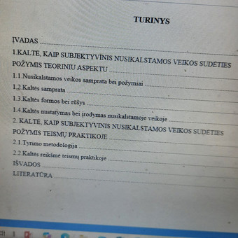 Turinio sudarymas Vilnius Dana nuotrauka 8