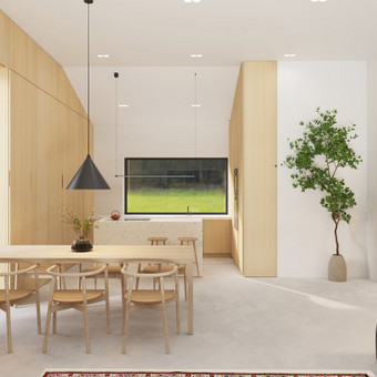 Interjero vizualizacijų kūrimas Kaunas MONO haus nuotrauka 2