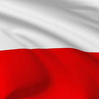 Lenkijos įmonių duomenų bazė Vilnius Įmonių kontaktai - klientų paieškai nuotrauka 12