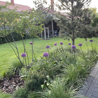 Augalų/medžių sodinimas Klaipėda Nerija gardens nuotrauka 8