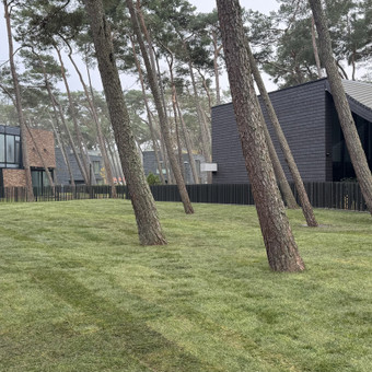 Sklypo įrengimo techninė priežiūra (koordinavimas) Klaipėda Nerija gardens nuotrauka 7