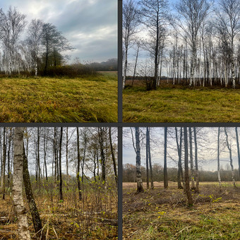 Pievų šienavimas Molėtų rajonas Sodoera MB nuotrauka 2