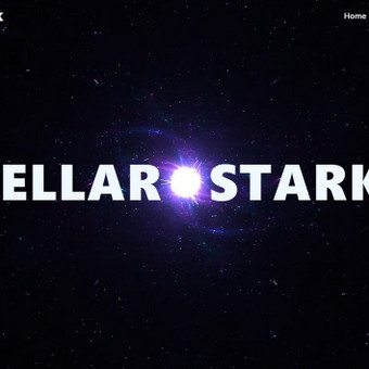 C# (Sharp) programavimas Kaunas StellarStark nuotrauka 4