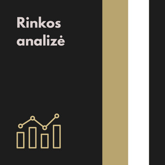 Rinkos analizė Kaunas Karolis Vagusevičius nuotrauka 2