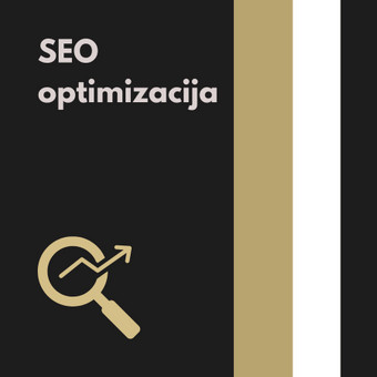 SEO optimizacija Kaunas Karolis Vagusevičius nuotrauka 7