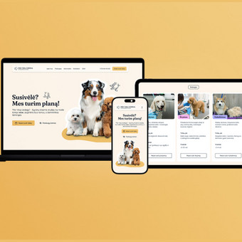 Svetainių dizainas (web design) Vilnius Andrius Rainys nuotrauka 2
