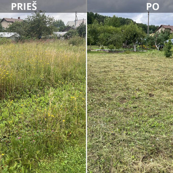 Žolės pjovimas Klaipėda Sodo idilė nuotrauka 1