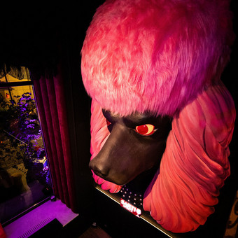 Kokteilių baro nuoma Vilniuje – „Pink Poodle“ šventėms ir vakarėliams Vilnius UAB Itališkas bistro nuotrauka 3
