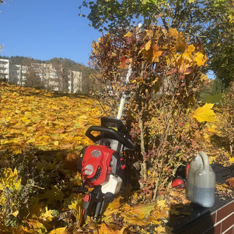 Tujų karpymas Vilnius Gamtaplius MB nuotrauka 8