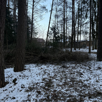Apleistų sklypų tvarkymas Vilnius Gamtaplius MB nuotrauka 5