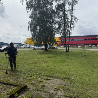 Daugiabučių kiemų priežiūra Vilnius Gamtaplius MB nuotrauka 11