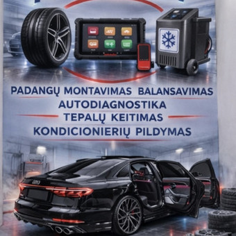 Tepalų keitimas Kaunas MB Autoreset nuotrauka 1