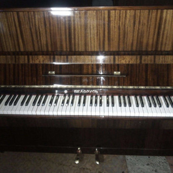 Pianinų išnešimas Vilnius Vilniaus Atliekos nuotrauka 11