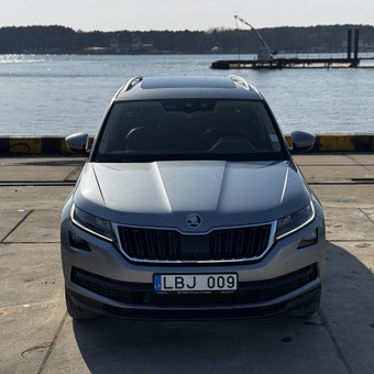 Automobilio Fotografavimas Pardavimui Klaipėda Gustas nuotrauka 3