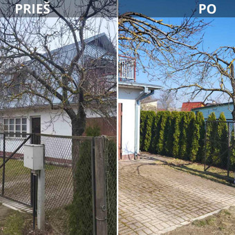 Vaismedžiu genėjimas Kaunas Ovidijus nuotrauka 6