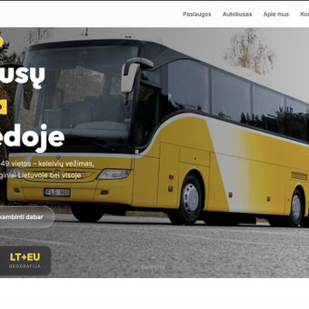 Svetainių dizainas (web design) Klaipėda Pulseweb nuotrauka 1