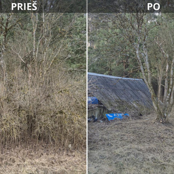 Apleistų sklypų tvarkymas Vilnius Edgar nuotrauka 4