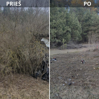 Apleistų sklypų tvarkymas Vilnius Edgar nuotrauka 1