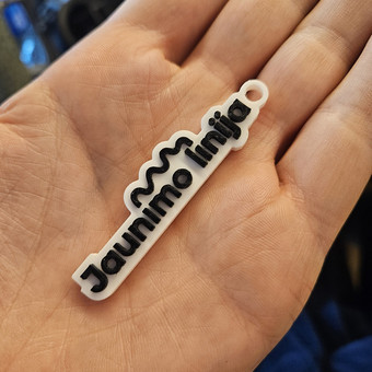 Spalvotas 3D spausdinimas Kaunas Tadas Didvalis nuotrauka 4