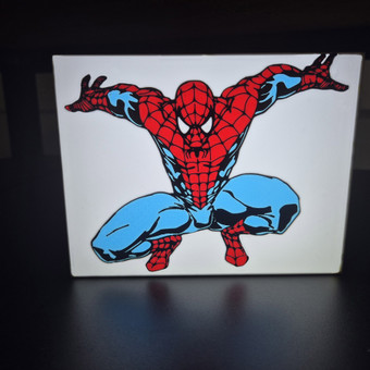 Spalvotas 3D spausdinimas Vilnius Arkonix nuotrauka 6