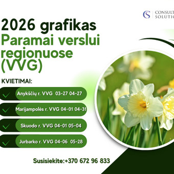 Verslo plėtros konsultacijos Kaunas Consulting solutions, MB nuotrauka 4