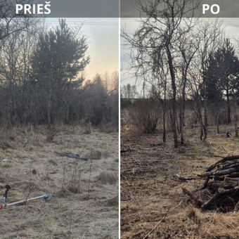 Krumu šalinimas Vilnius Edgar nuotrauka 11