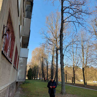 Šakų smulkinimas Kaunas MB Deiskara nuotrauka 5