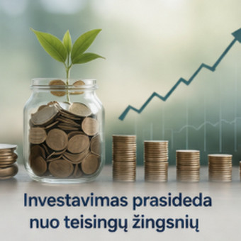 Investicijų konsultacijos Vilnius Jelena Šulžickienė nuotrauka 4