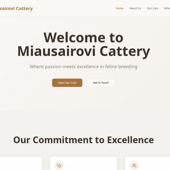 Svetainių dizainas (web design) Vilnius Maxwell software solutions nuotrauka 1