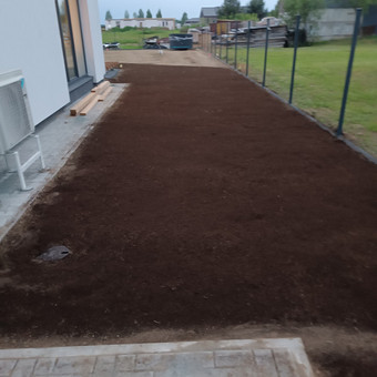 Vejos įrengimas: sėjimas, ruloninė veja Vilnius Aplinkos pulsas nuotrauka 4