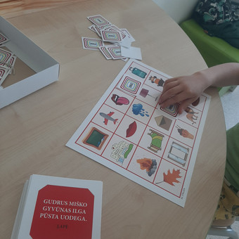 Vaikų kalbos sutrikimų korekcija Vilnius Logopediniai užsiėmimai nuotrauka 1