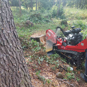 Kelmų naikinimas, frezavimas Alytus Kelmetra MB nuotrauka 1