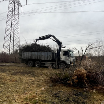 Šakų išvežimas Kaunas Saugus Pjūvis Arboristai nuotrauka 4