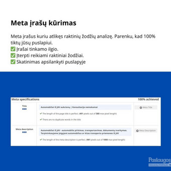 Svetainės meta įrašų kūrimas Vilnius Ovidijus Drungilas nuotrauka 8