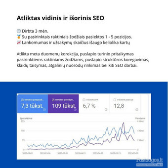 Raktinių žodžių analizė ir parinkimas Vilnius Ovidijus Drungilas nuotrauka 2