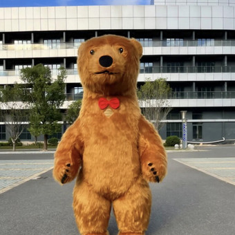 Meškos sveikinimai Vilnius Pramogų kiemas nuotrauka 4