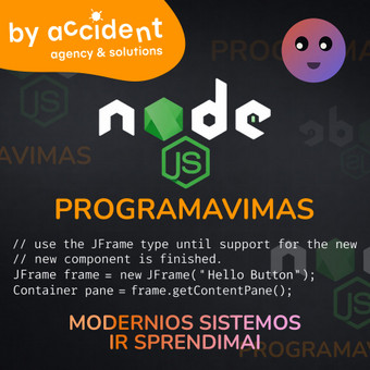 Programavimas su Node.js Klaipėda By Accident Solutions nuotrauka 2
