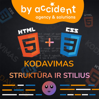 HTML/CSS kodavimas Klaipėda By Accident Solutions nuotrauka 6