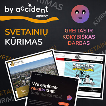 Svetainių kūrimas Klaipėda By Accident Solutions nuotrauka 3